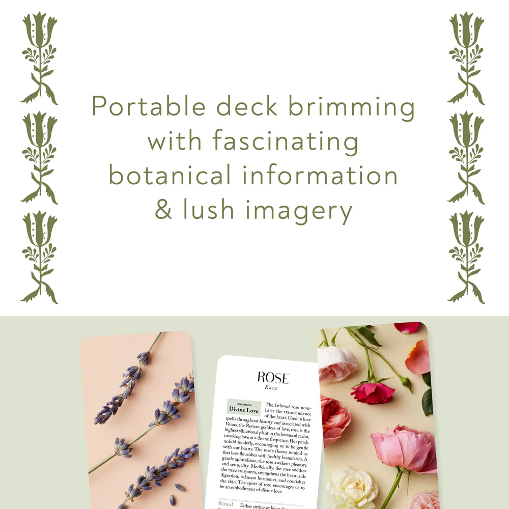 Botanicals Deck by Chronicle Books
