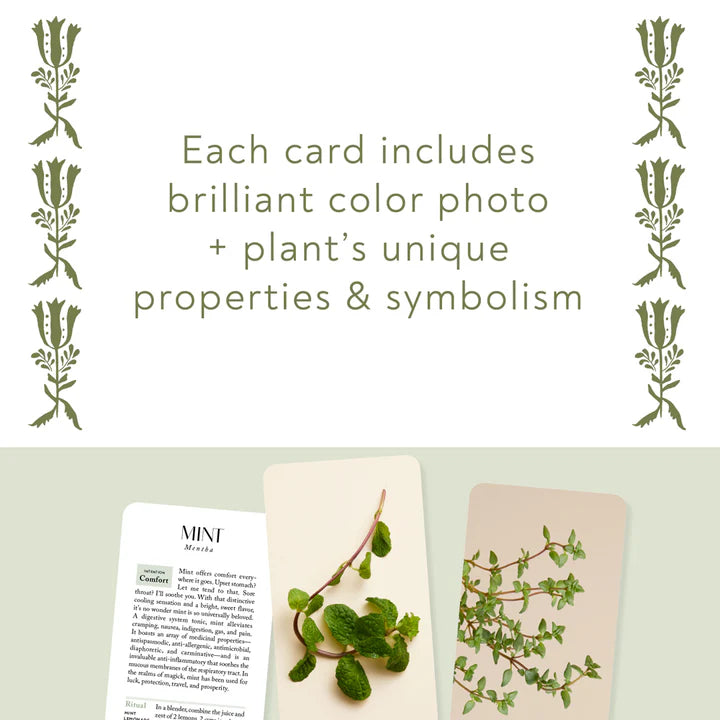 Botanicals Deck by Chronicle Books