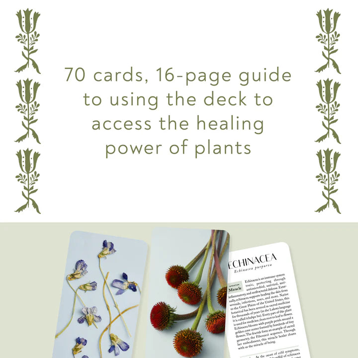 Botanicals Deck by Chronicle Books