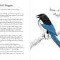 A Dumb Birds Field Guide to the Worst Birds Ever by Chronicle Books