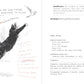 A Dumb Birds Field Guide to the Worst Birds Ever by Chronicle Books