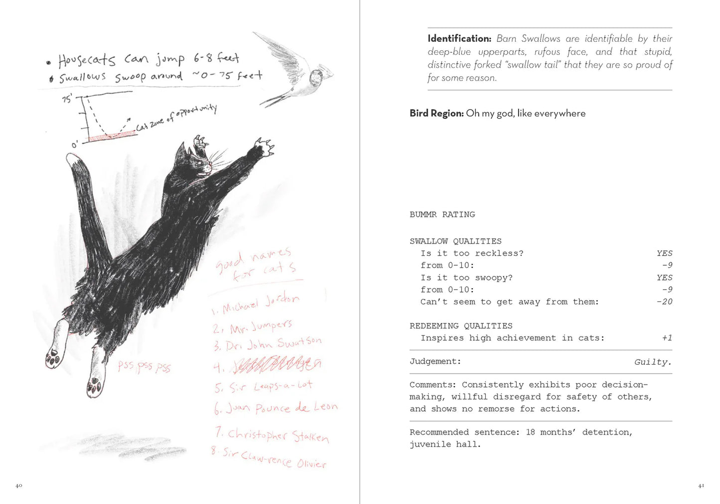 A Dumb Birds Field Guide to the Worst Birds Ever by Chronicle Books