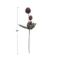 44" Faux Pod Pick by Creative Co-Op in Berry