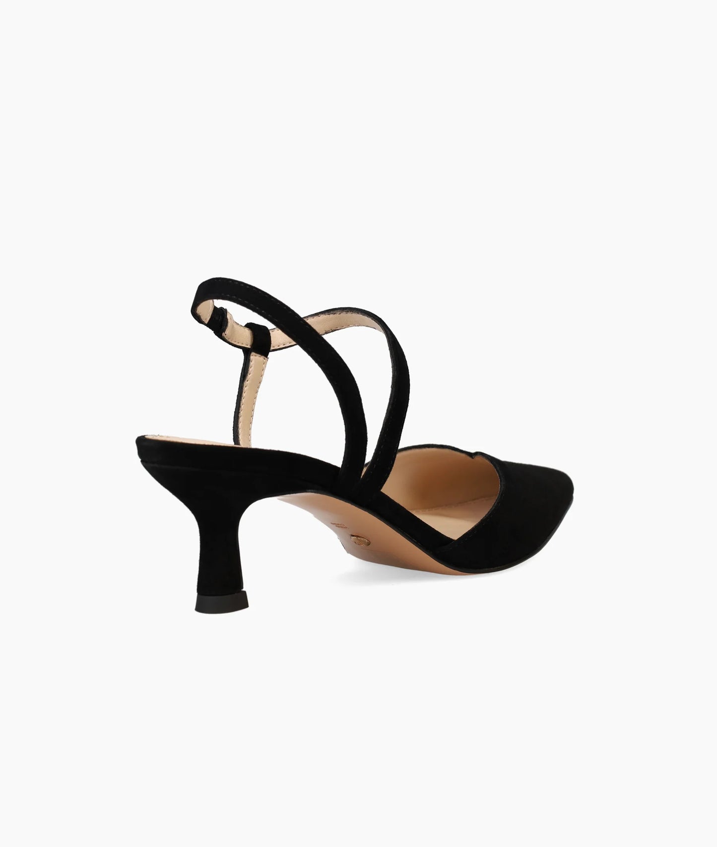 Kearn Shoe by Pelle Moda in Black