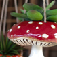 Set of 2 Ceramic Toadstool Hanging Planters by Kalalou