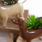 Set of 5 Ceramic Dog Planters by Kalalou