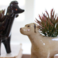 Set of 5 Ceramic Dog Planters by Kalalou