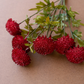 Bundle of 7 Artificial Red Ball Dahlias by Kalalou